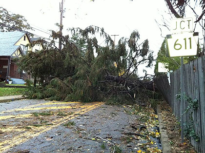 (A fallen tree following Hurricane Sandy.  Credit: Mike DeNardo)