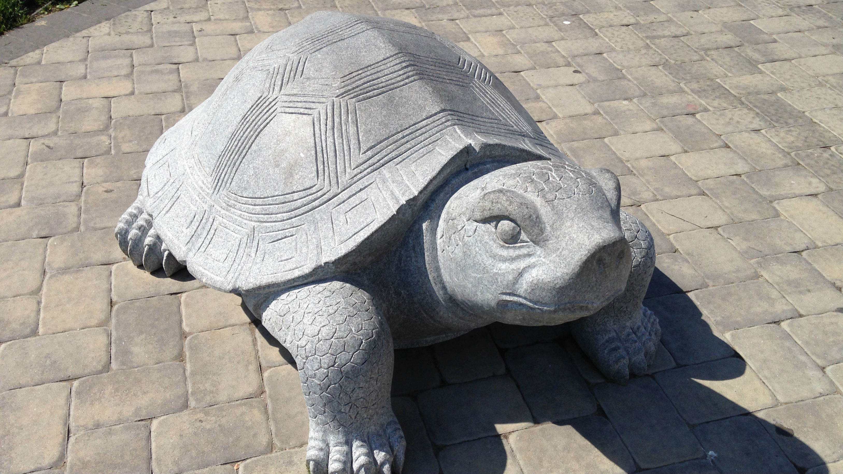 A statue of Sara the Turtle, Sea Isle City mascot. (Credit: Andrew Kramer)