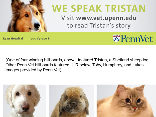 Penn’s Veterinary Hospital Features Patients In New Billboard Campaign