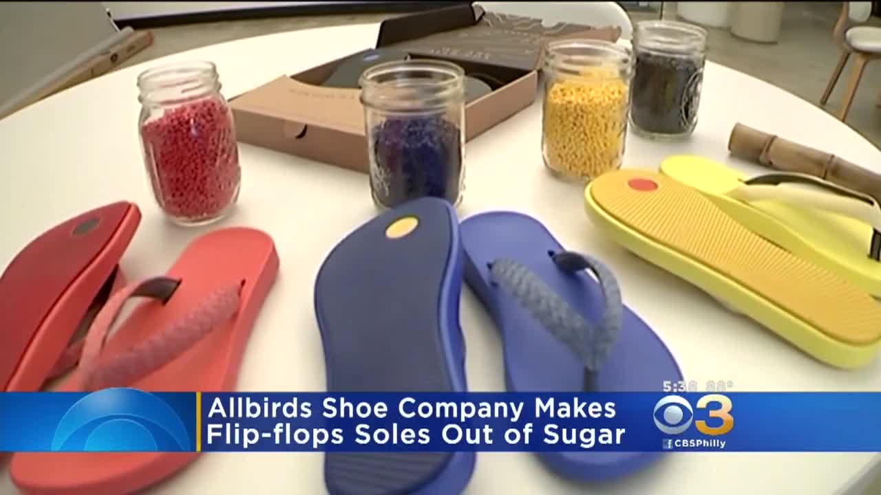 Shoe Company Unveils Flip-Flops Soles 
