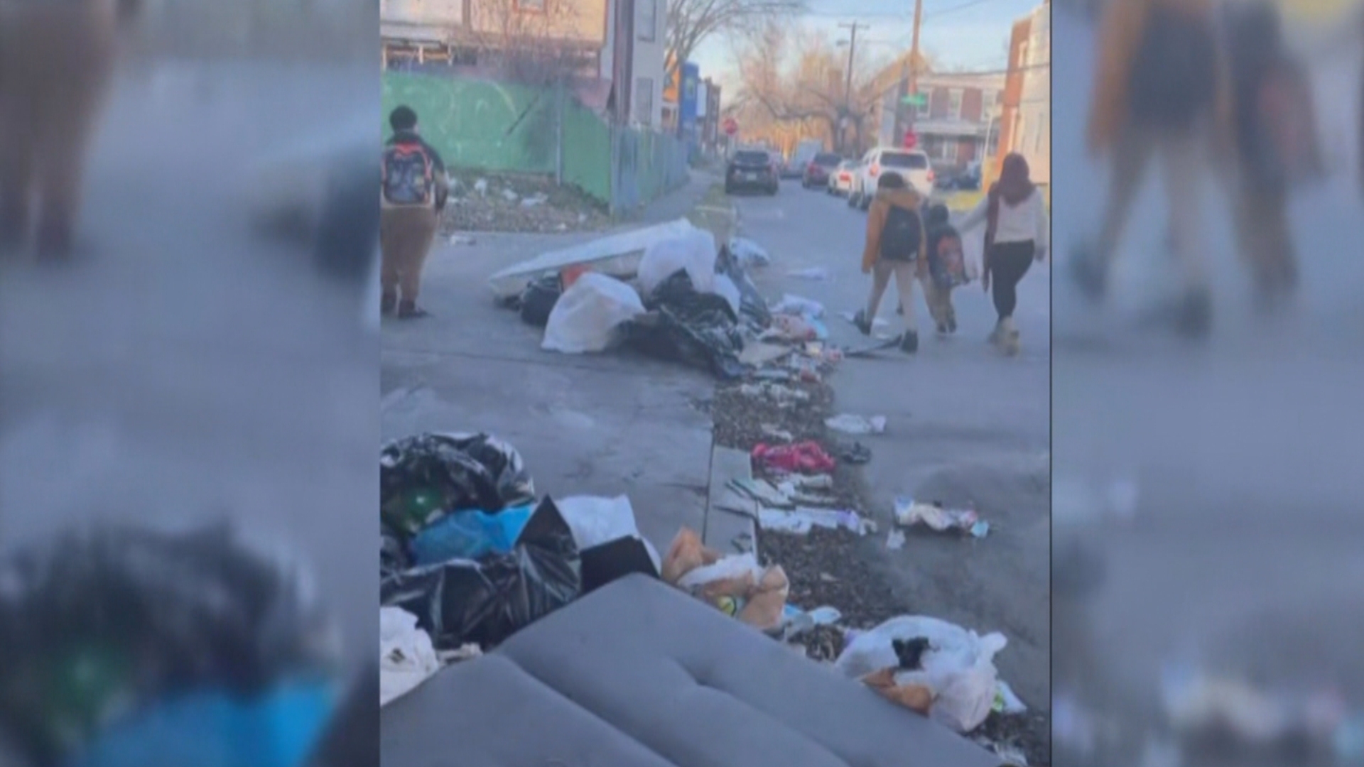 Trash Bags, Cardboard, Old Furniture: Illegal Dumping In Logan Sparking Outrage From Ya Fav Trashman, Community Members