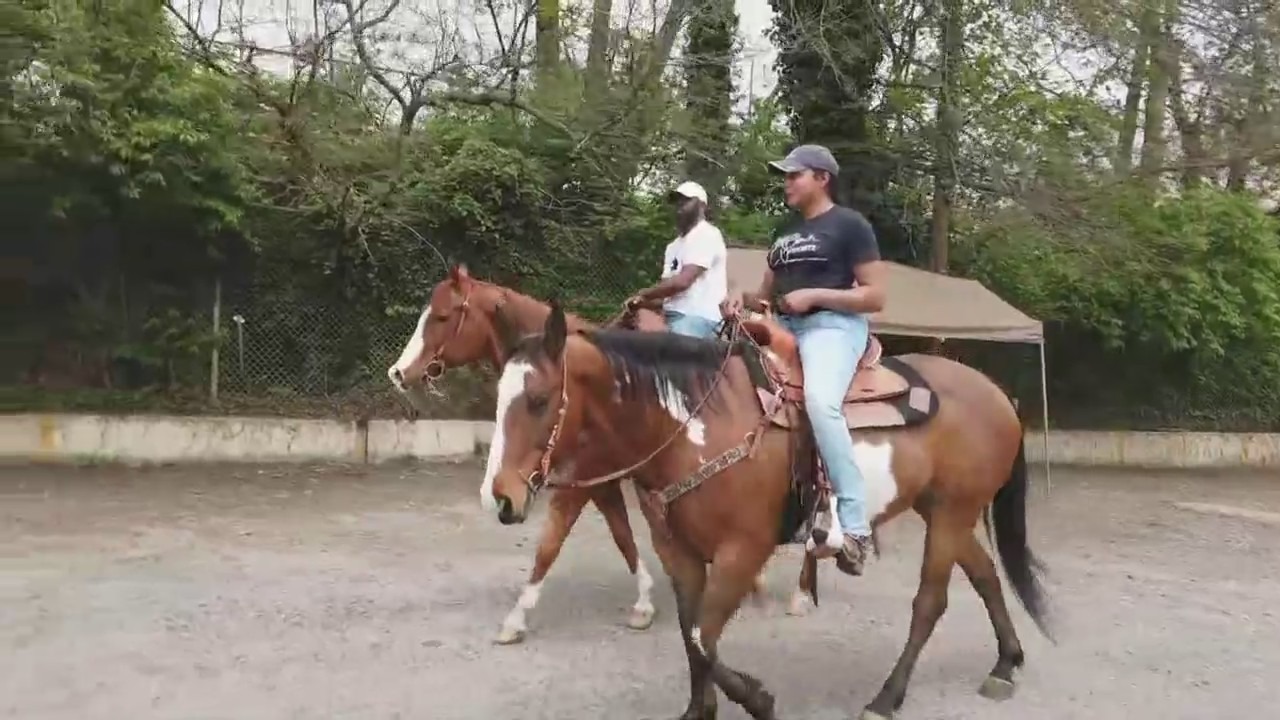 Philadelphia Urban Riding Academy Hopes To Bring Horseback Riding Back To West Philly