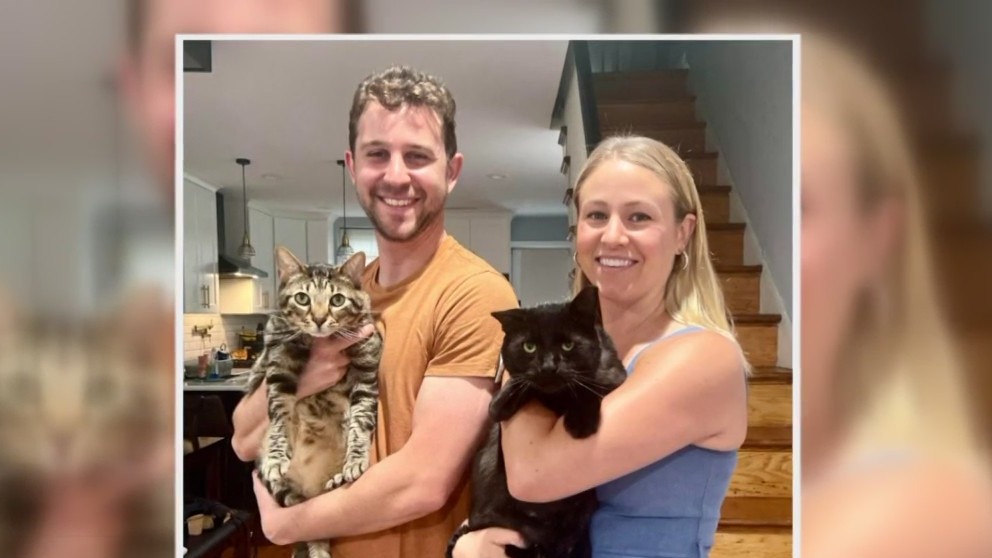 Buddy The Cat Finds ‘Furever’ Home After Attacked By 2 Dogs In March
