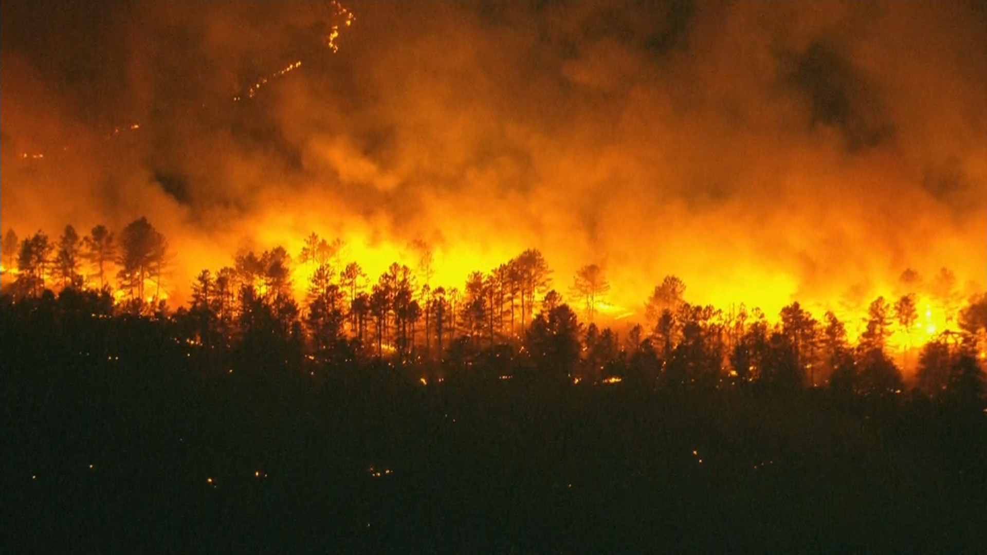 Kebakaran Hutan Di Hutan Negara Bagian Wharton Di South Jersey Membakar Sedikitnya 2.100 Acre – CBS Philly