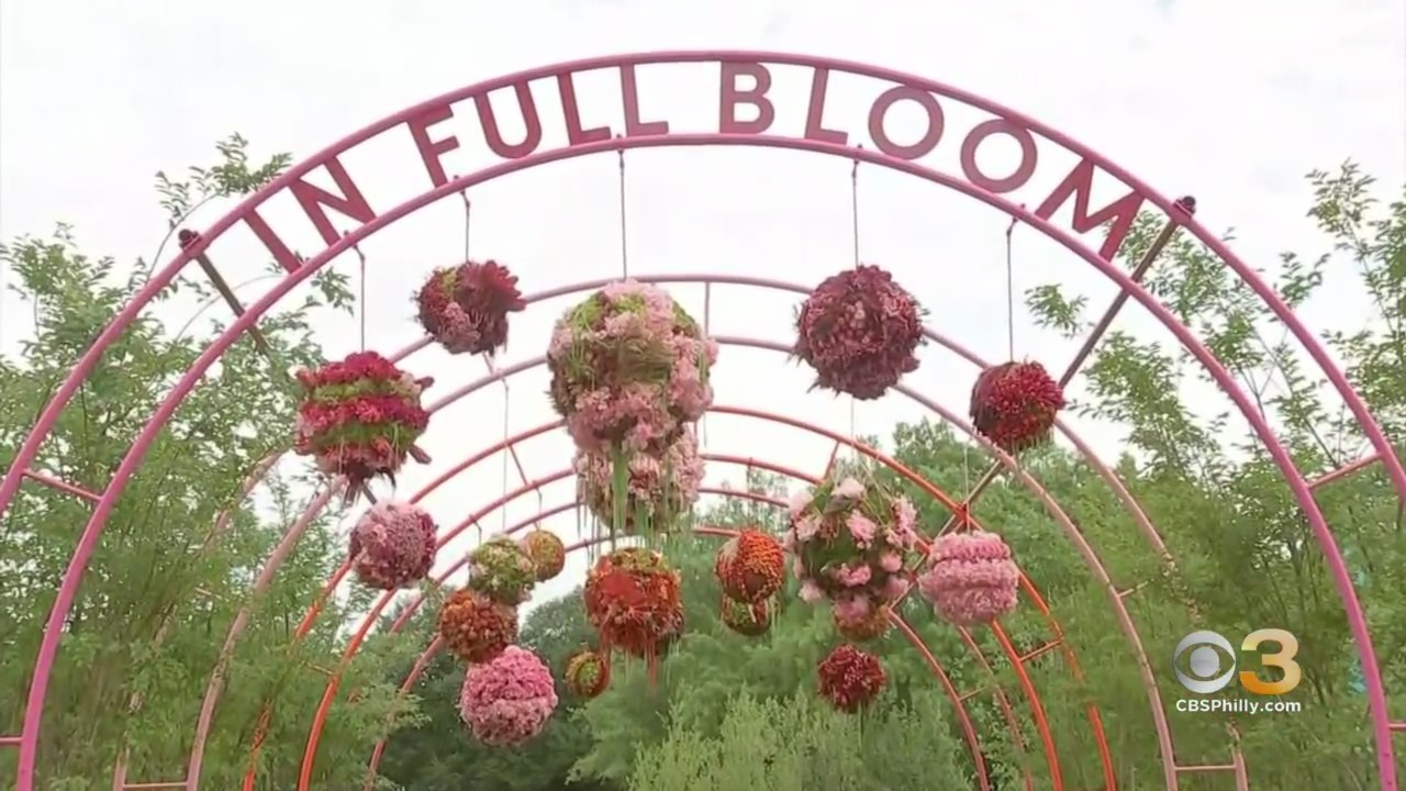 Thousands Of Families Visit Philadelphia Flower Show At FDR Park: 'The Exhibits Are Just Stunning'